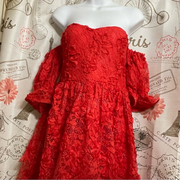Red Lace Dress for Valentines or that special date - Picture 7 of 12